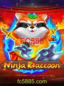 NinjaRaccoon